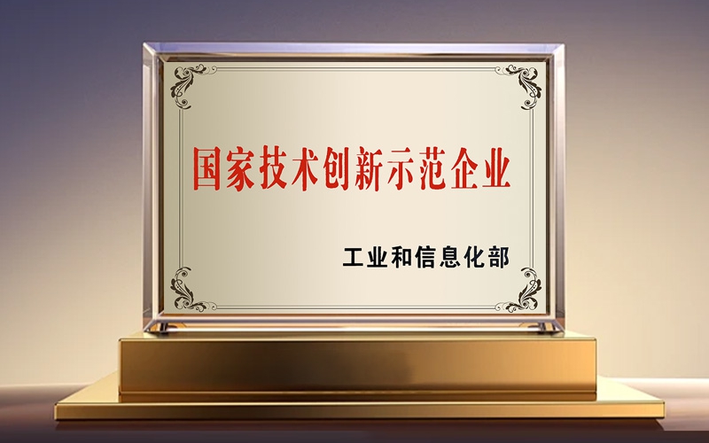 国家技术创新示范企业